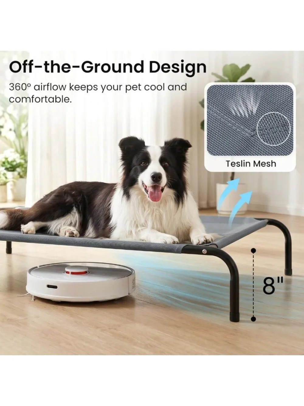 Elevated Cooling Dog Bed for Large Pets - Portable Indoor/Outdoor Cot, Durable